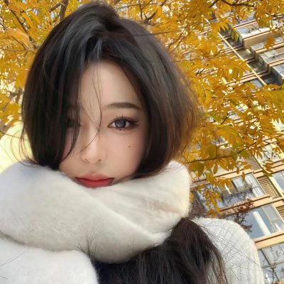 科摩多龙大战金刚巨蟒